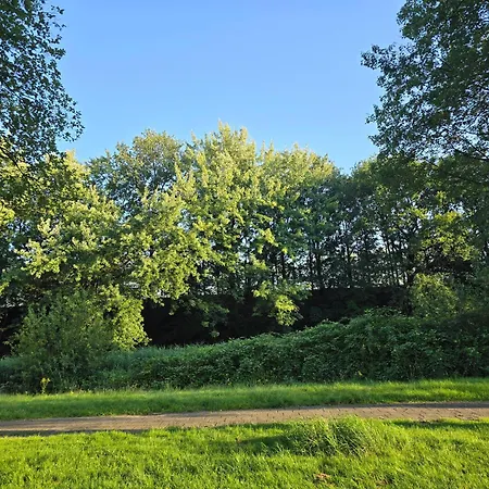 بيت ضيافة Zm تيلبورغ